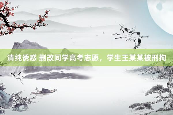清纯诱惑 删改同学高考志愿，学生王某某被刑拘