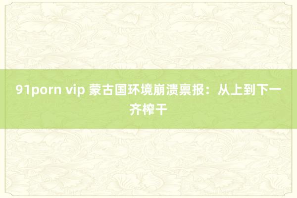 91porn vip 蒙古国环境崩溃禀报：从上到下一齐榨干