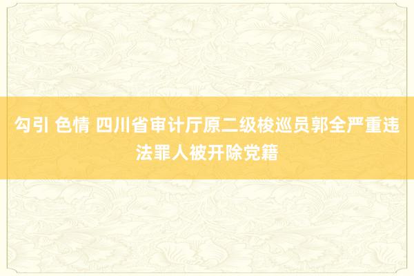 勾引 色情 四川省审计厅原二级梭巡员郭全严重违法罪人被开除党籍
