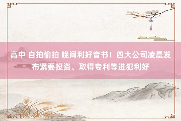高中 自拍偷拍 晚间利好音书！四大公司凌晨发布紧要投资、取得专利等进犯利好