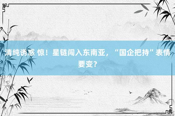 清纯诱惑 惊！星链闯入东南亚，“国企把持”表情要变？