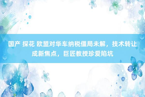 国产 探花 欧盟对华车纳税僵局未解，技术转让成新焦点，巨匠教授珍爱陷坑