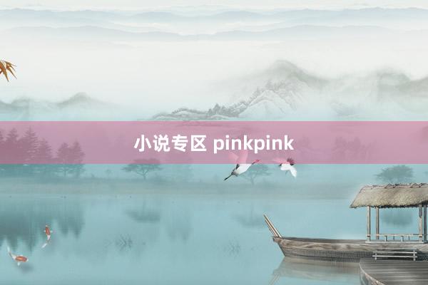 小说专区 pinkpink