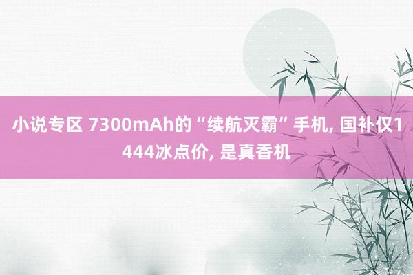 小说专区 7300mAh的“续航灭霸”手机， 国补仅1444冰点价， 是真香机