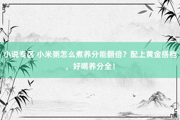 小说专区 小米粥怎么煮养分能翻倍？配上黄金搭档，好喝养分全！