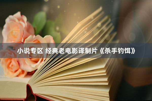 小说专区 经典老电影译制片《杀手钓饵》