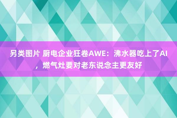 另类图片 厨电企业狂卷AWE：沸水器吃上了AI，燃气灶要对老东说念主更友好